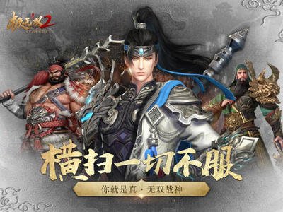 极无双2武将搭配,强力阵容分享