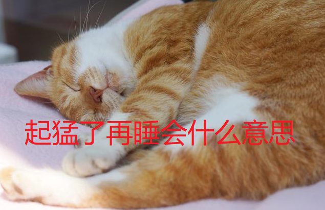 起猛了是什么意思