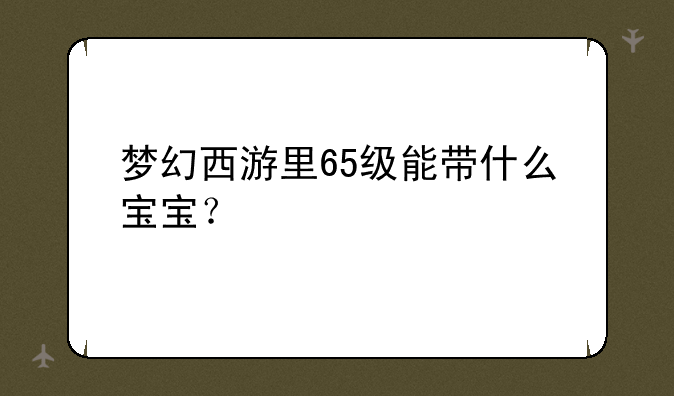 梦幻西游里65级能带什么宝宝？