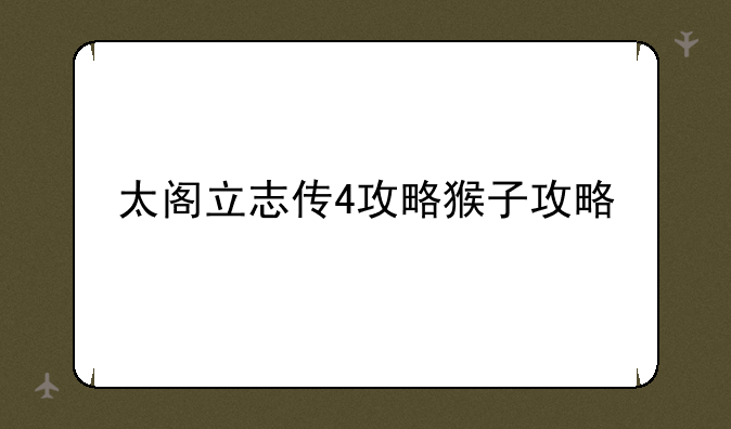 太阁立志传4攻略猴子攻略