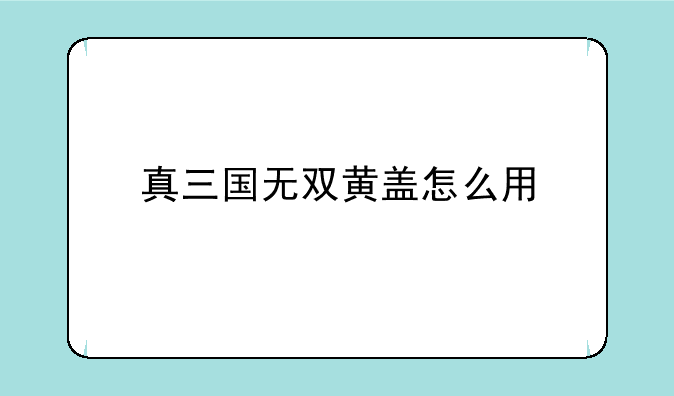 真三国无双黄盖怎么用