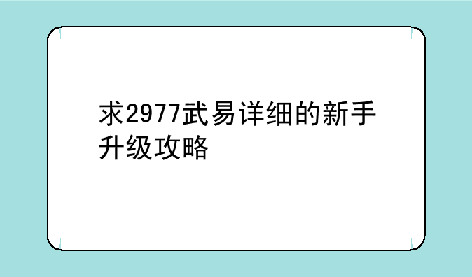 求2977武易详细的新手升级攻略