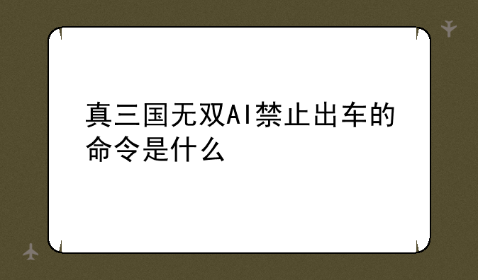 真三国无双AI禁止出车的命令是什么