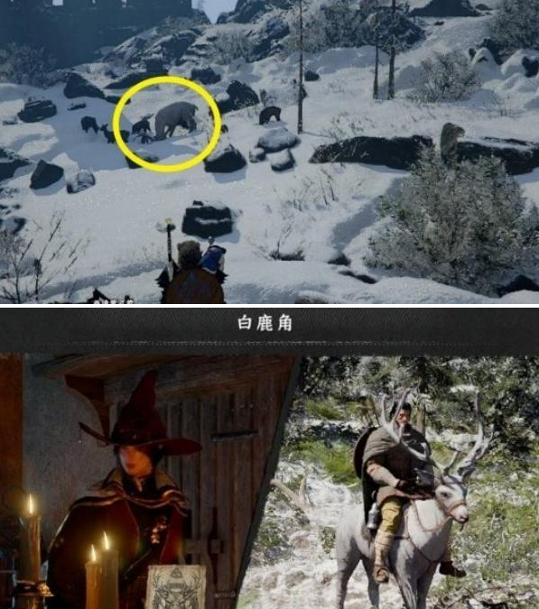 红色沙漠白鹿坐骑怎么获得-白鹿坐骑获取攻略